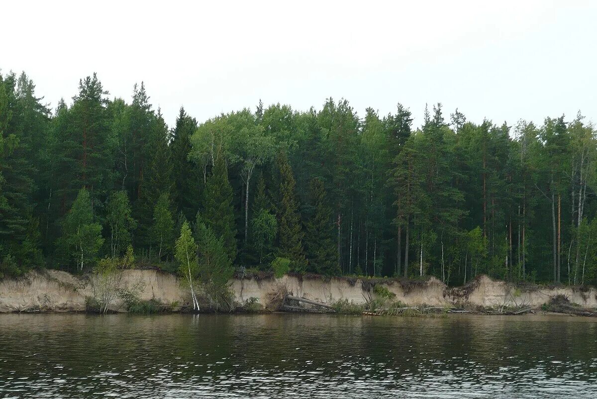 Нижне свирский заповедник фото Nizhnesvirsky Nature Reserve - Wikipedia