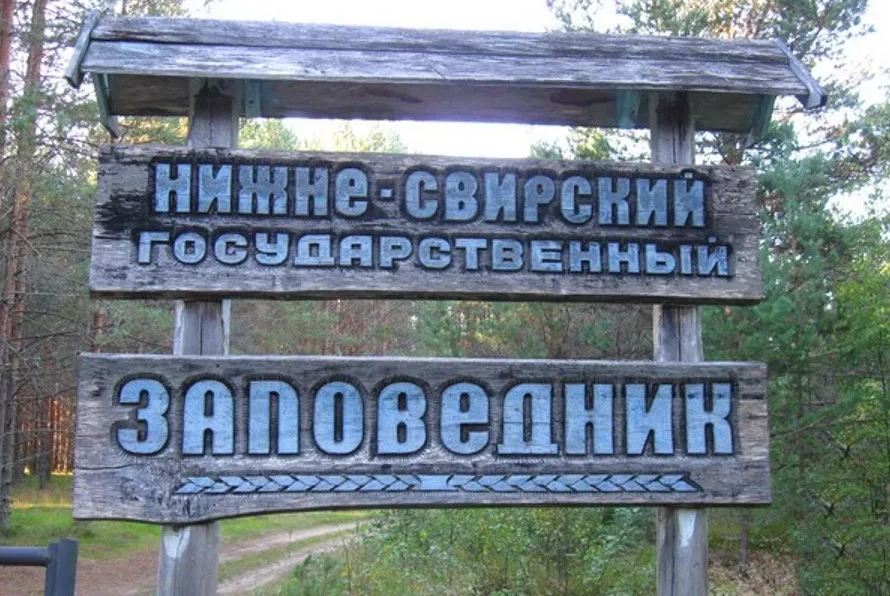 Нижне свирский заповедник фото 11 июня 1980 года - Создан Нижнесвирский заповедник в Ленинградской области - Ру