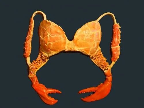 Нижнее белье смешное фото Pin on LINGERIE