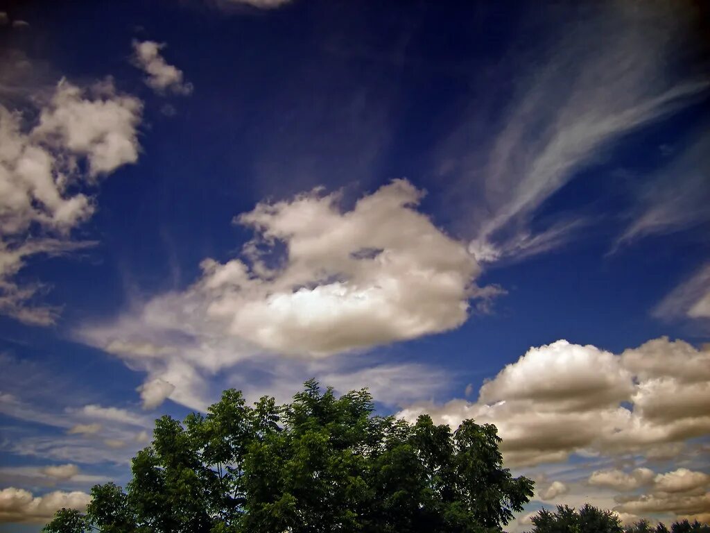 Нижнее небо фото Outspread Mixed cloud formations. Nicholas_T Flickr
