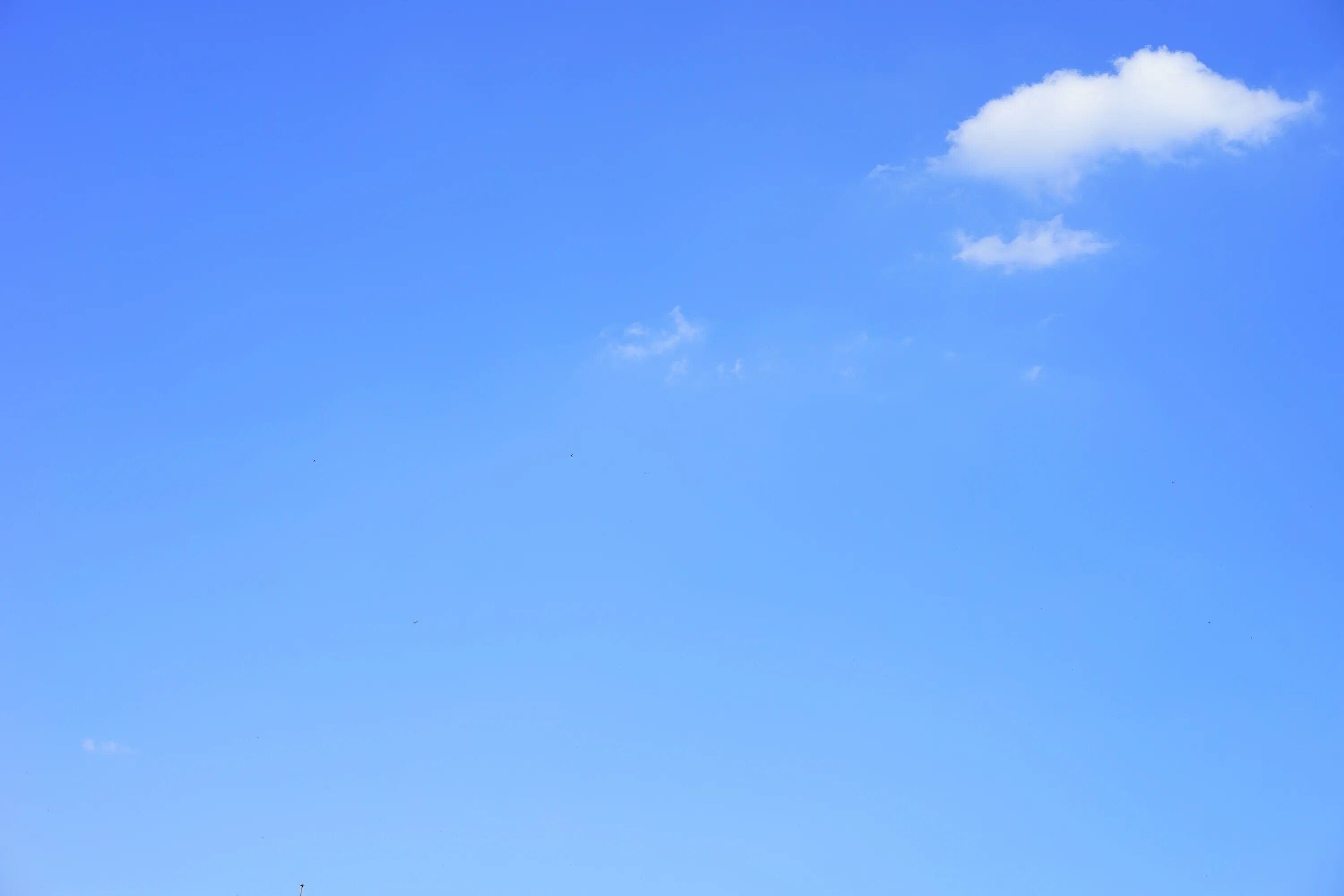 Нижнее небо фото Free Images : white, weather, blue, toy, clouded sky, clouds form, sunny day, cu