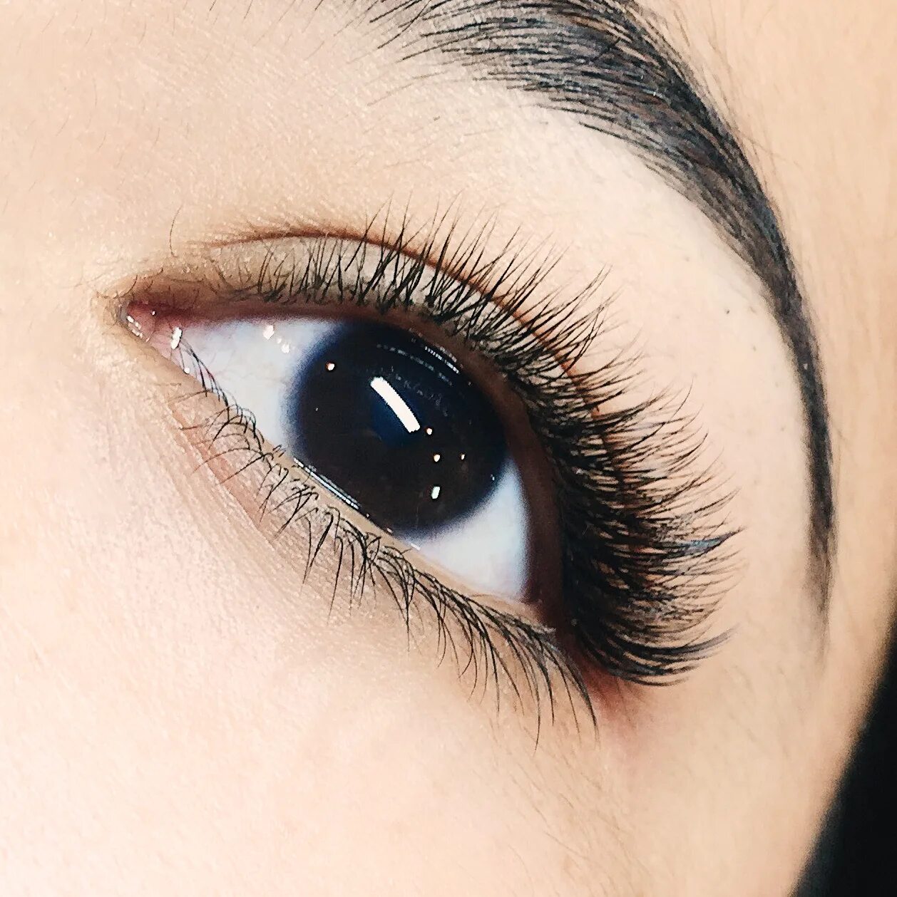 Нижние ресницы фото Russian Volume class. Bottom lash extensions