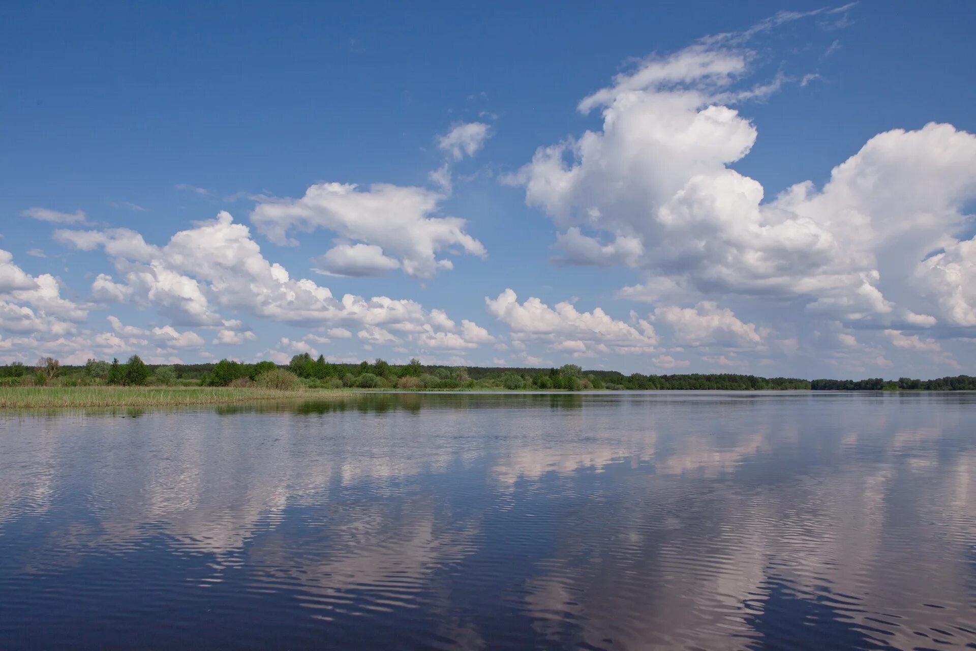 Нижний дон фото Reviews about Lastochkin dom, Nizhniy Novgorod Region, gorodskoy okrug Vorotynsk