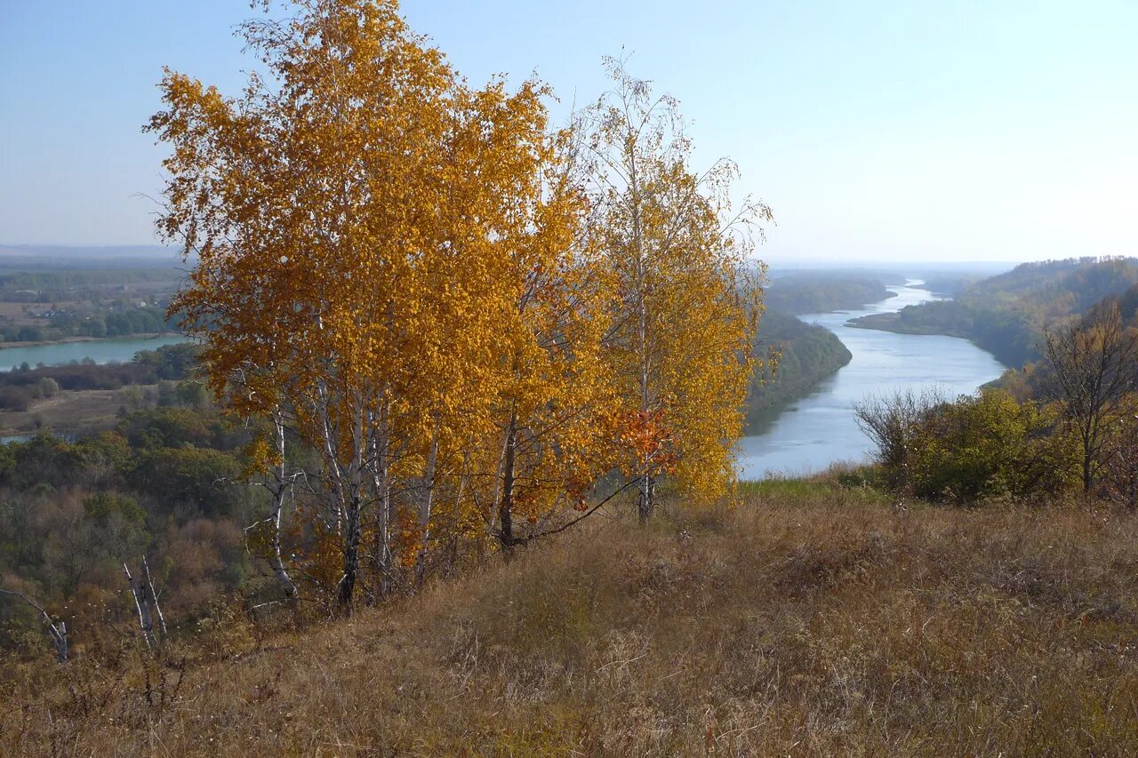 Нижний дон фото На нижнем дону