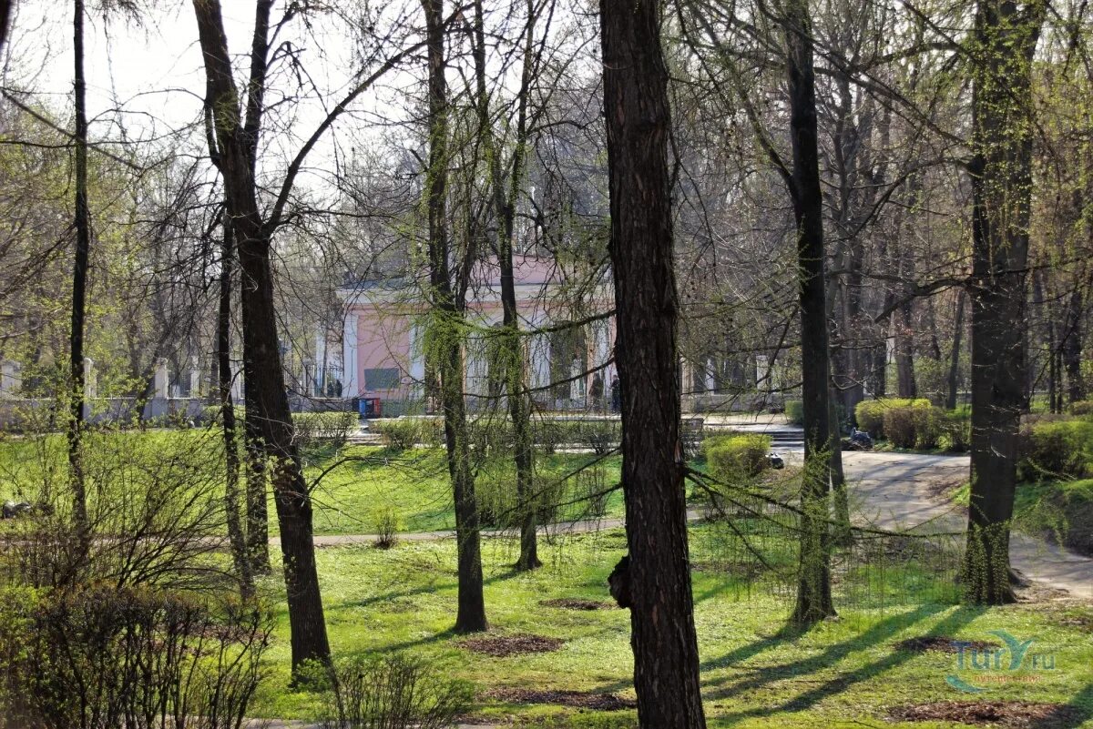 Нижний городской сад ул свободы 57 фото Нижний городской парк