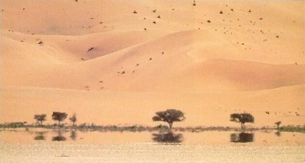 Нижний мираж фото Mirage. CS 348b: A study in non-linear ray tracing Cool optical illusions, Optic