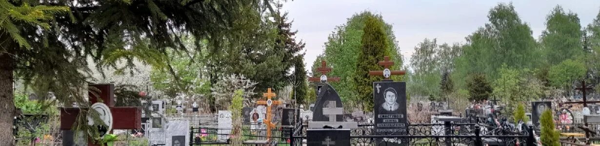 Нижний новгород кладбища фото Места на кладбищах в Нижнем Новгороде могут закончиться к 2026 году - новости Ни