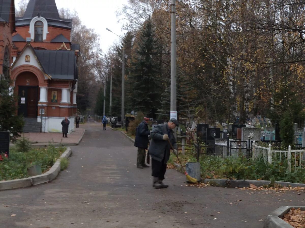 Нижний новгород кладбища фото Аварийных деревьев на кладбищах города стало меньше Информационное агентство "Вр