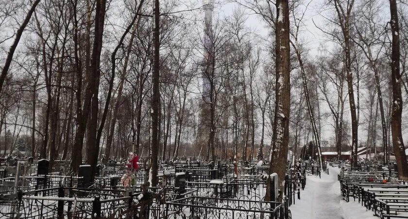 Нижний новгород кладбища фото Два кладбища в Нижнем Новгороде закроют из-за недостатка свободных мест