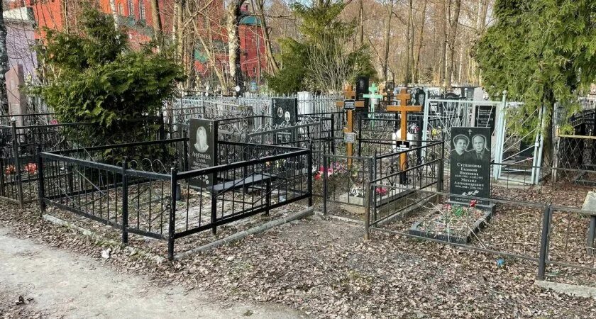 Нижний новгород кладбища фото Нижегородские власти решили увеличить территорию одного из кладбищ