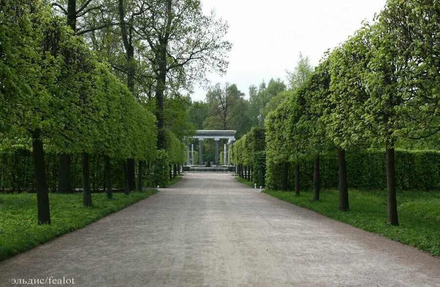 Нижний парк фото Нижний парк история