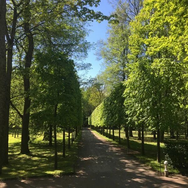 Нижний парк фото Фотографии компании Нижний парк, музей-заповедник в Санкт-Петербурге