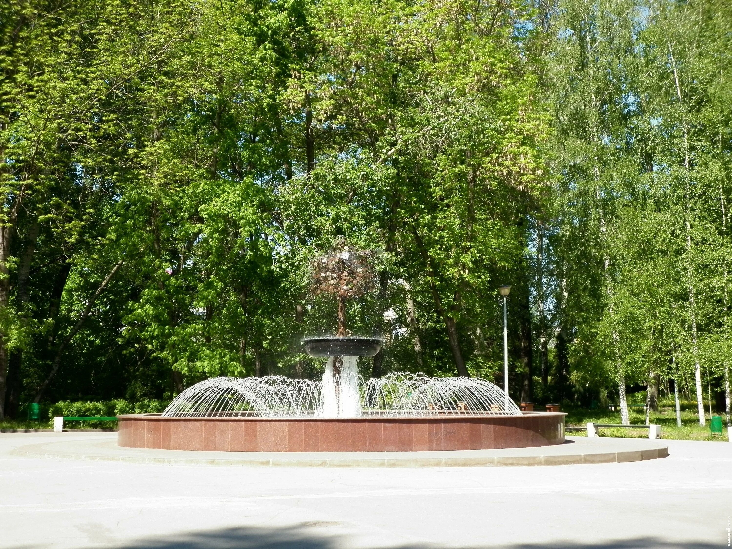 Нижний парк липецк фото Фото без названия - Что в Нижнем парке нового? Видели сами - расскажем вам! - Фо
