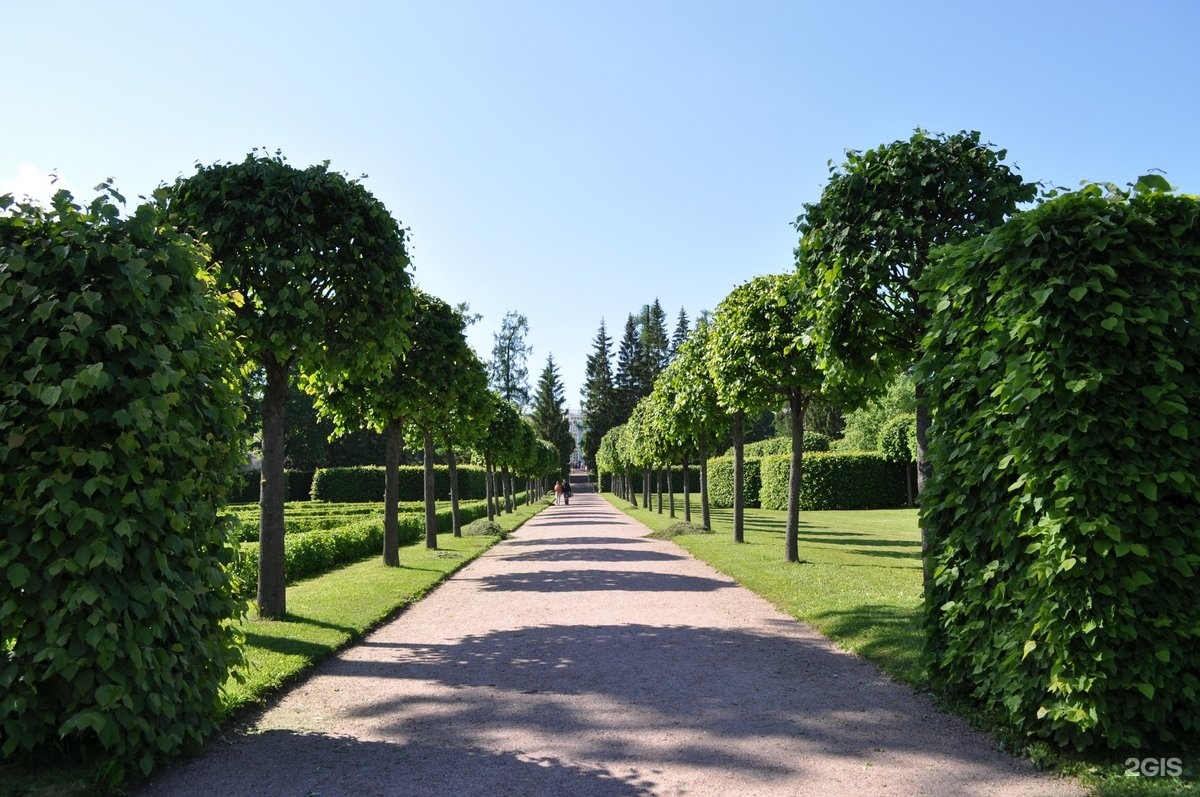 Нижний парк пушкин фото Парк пушкина санкт петербург