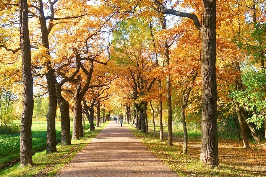 Нижний парк пушкин фото Большой гид по Пушкину
