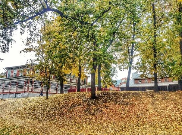 Нижний парк рязань фото На благоустройство Нижнего городского сада в Рязани Правительство РФ выделит сре