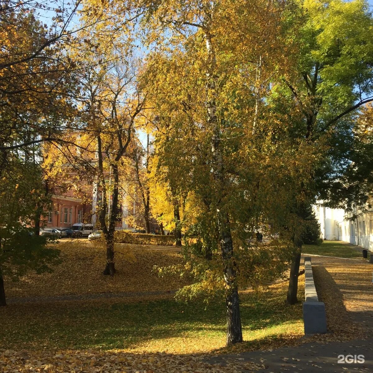 Нижний парк рязань фото Рязань нижний новгород фото YugNash.ru