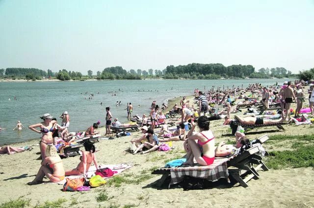 Нижний пляж фото Где в Москве в этом сезоне разрешат купаться? Аргументы и Факты