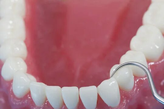 Нижний ряд зубов фото Mızrap Изображения: просматривайте стоковые фотографии, векторные изображения и 
