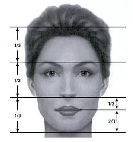 Нижняя часть лица фото PDF QUANTITATIVE ANALYSIS OF THE SPEECH AND LIP MOVEMENTS THROUGH OPTOELECTRONIC