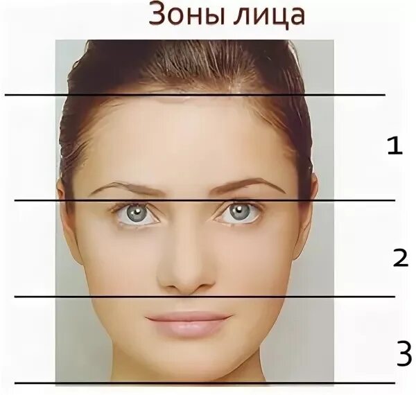 Нижняя часть лица фото Анализ лица модели