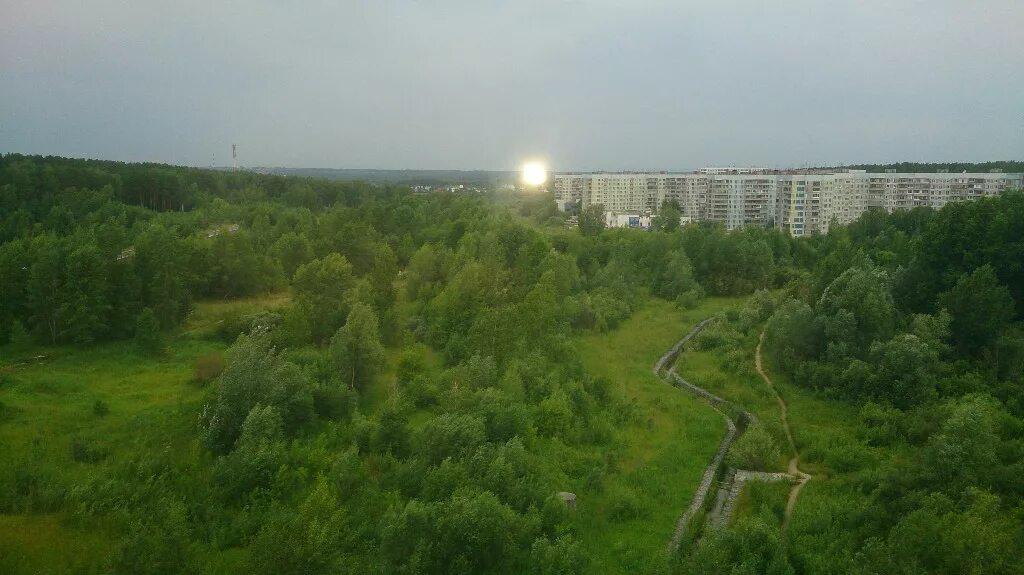 Нижняя ельцовка фото Что построит бывший чиновник на земле в Нижней Ельцовке?