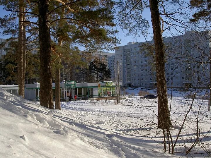 Нижняя ельцовка фото Новосибирск ельцовка 57 фото Ast-Ohota.ru