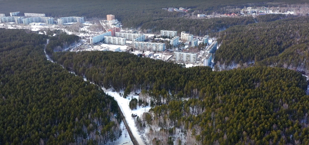 Нижняя ельцовка фото Вырубка в Нижней Ельцовке: история конфликта SibNOVO