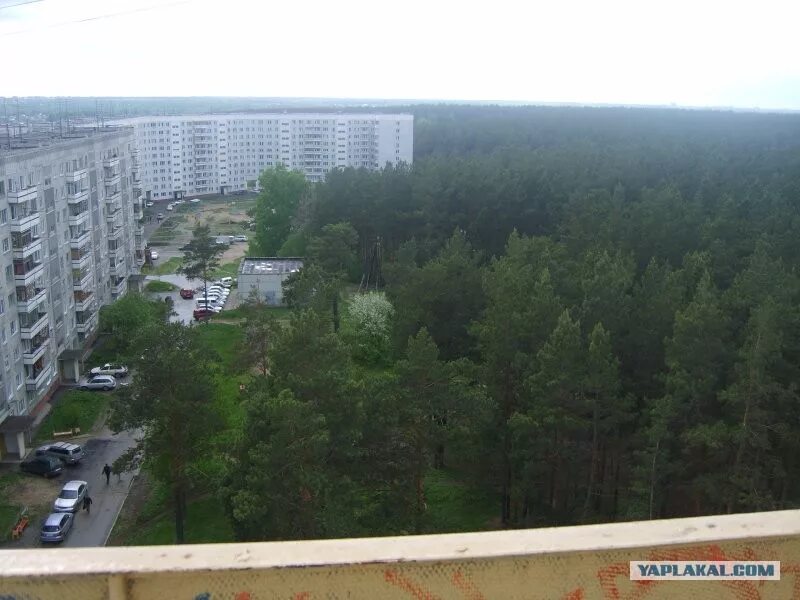 Нижняя ельцовка новосибирск фото Достопримечательности Новосибирска - ЯПлакалъ