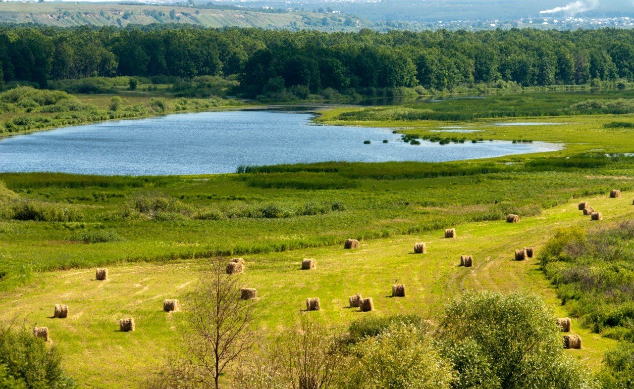 Нижняя кама фото Национальный парк нижняя кама фото Seamo.ru
