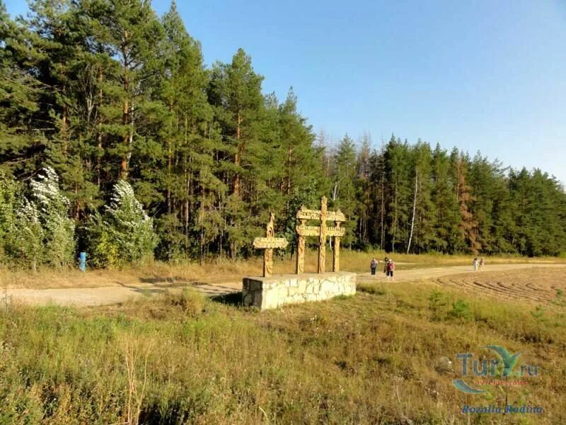 Нижняя кама фото Национальный парк Нижняя Кама - Малый бор в Елабуге. Россия, Елабуга (Татарстан)