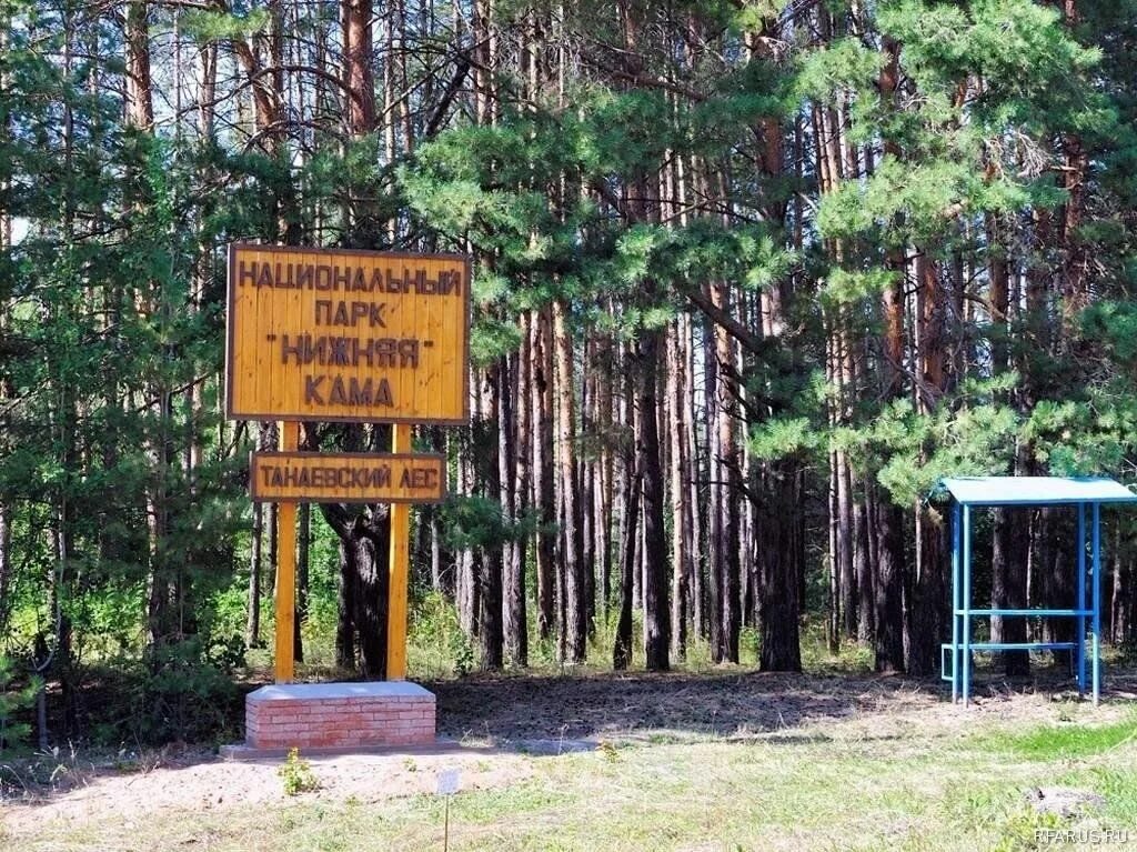 Нижняя кама фото Национальный парк Нижняя Кама 2024, Менделеевский район - дата и место проведени