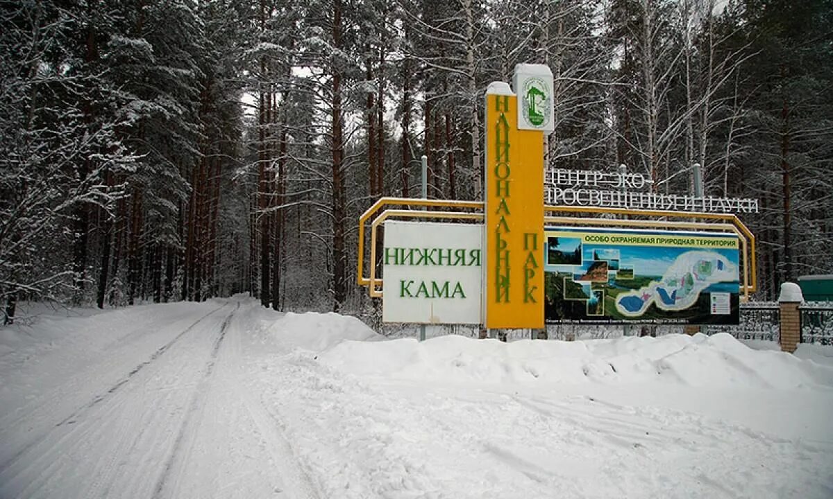 Нижняя кама фото Литературно-экологическое путешествие "Заповедный край: знай, люби и охраняй" 20