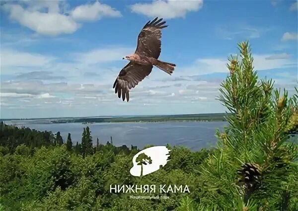 Нижняя кама фото Национальному парку "Нижняя Кама" - 28 лет! - 20 Апреля 2019 - Национальный парк