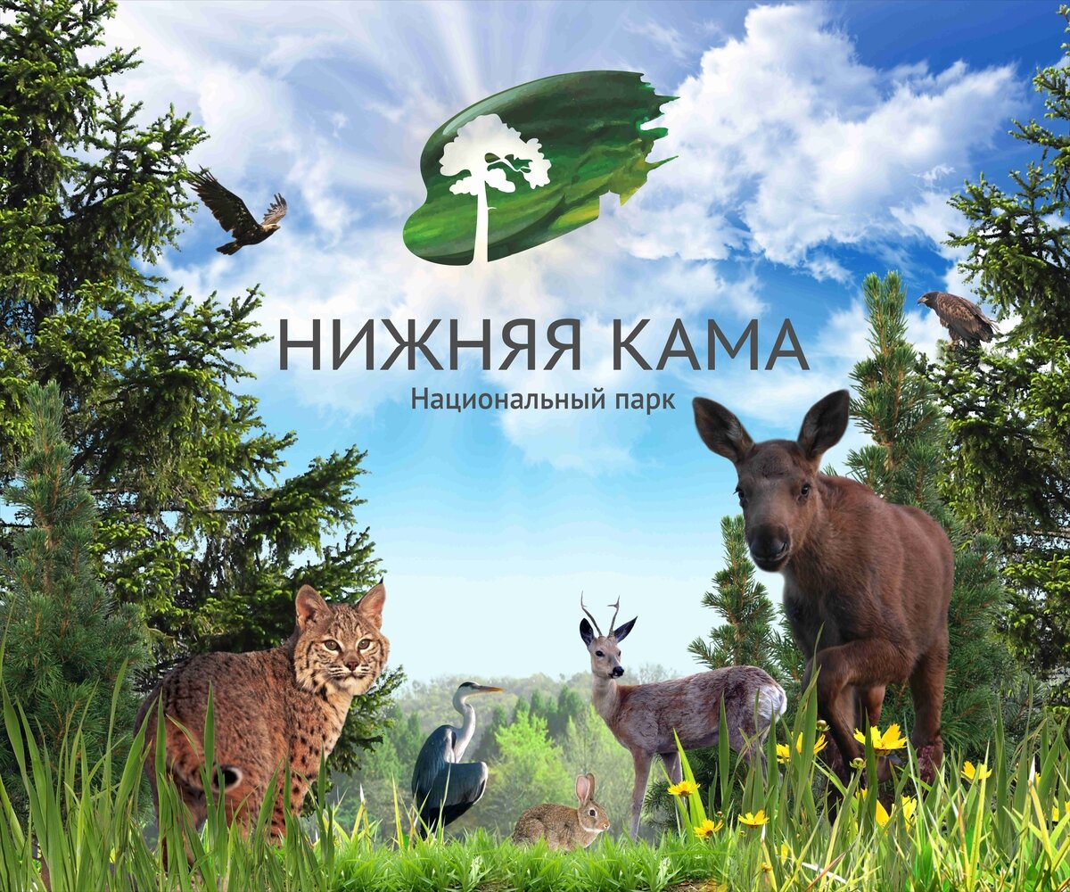 Нижняя кама фото Национальный парк нижняя кама фото Seamo.ru