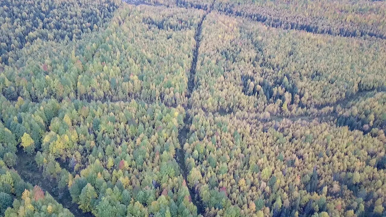 Нижняя омра республика коми фото и описание 3 ГНСП верхняя омра - YouTube