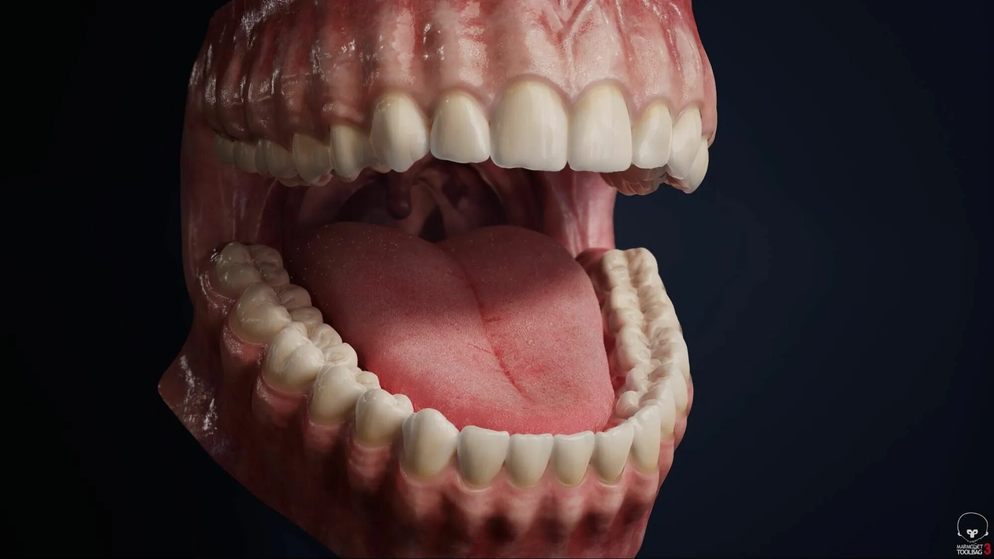 Нижняя зубная челюсть фото Organic Art & Realistic Subdermal Shaders Teeth, Organic art, Dental fun