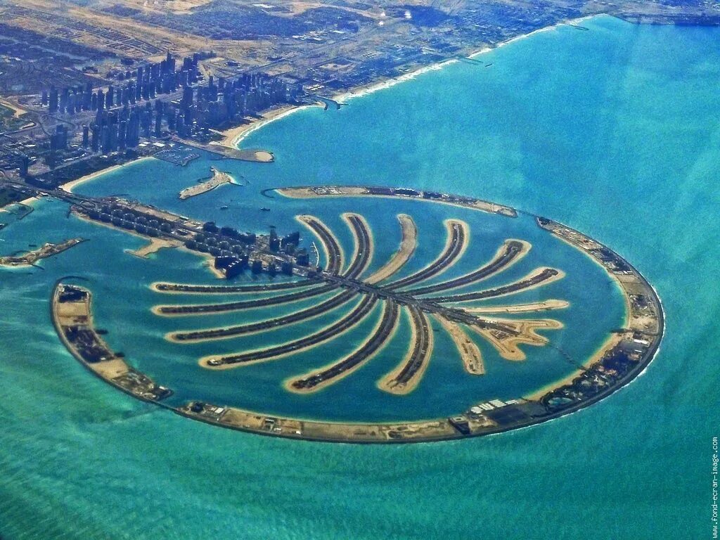 Остров в виде пальмы фото Explore the beautiful palm jumeirah through our Dubai Dhow Cruise from Marina.