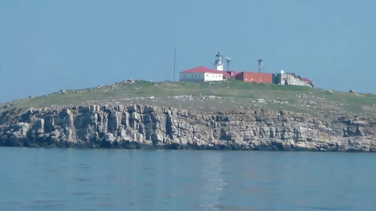 Остров змеиный в черном море фото По Дунаю на остров Змеиный и обратно - YouTube