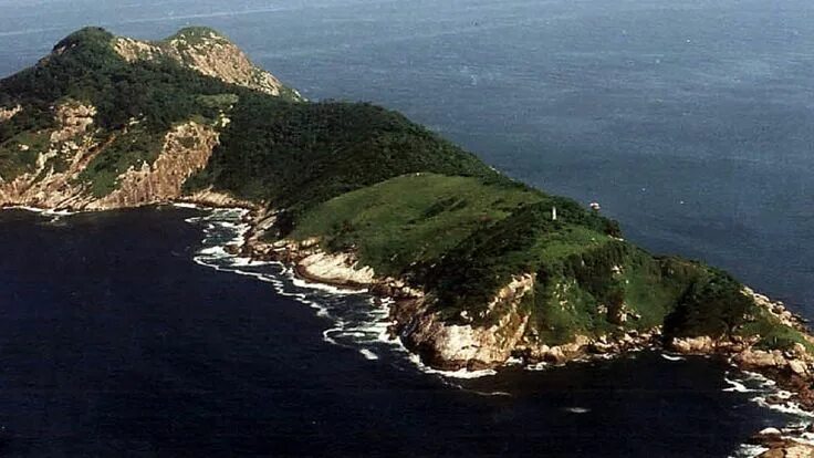 Остров змей в бразилии фото This Brazilian Island Is so Deadly That Only a Handful of People Are All... Isla