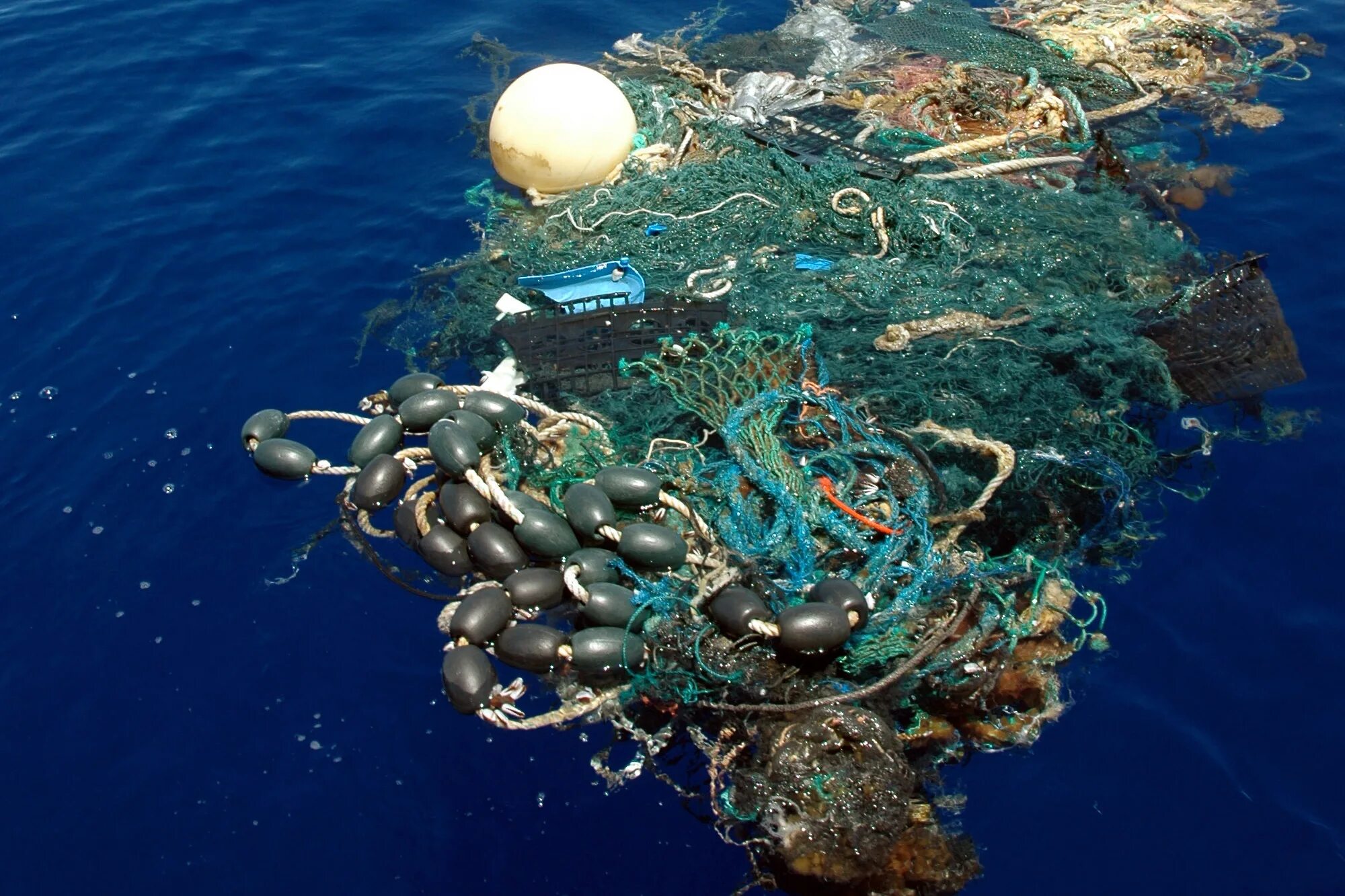 Острова мусора в океане фото Great Pacific Garbage Patch is now twice the size of Texas