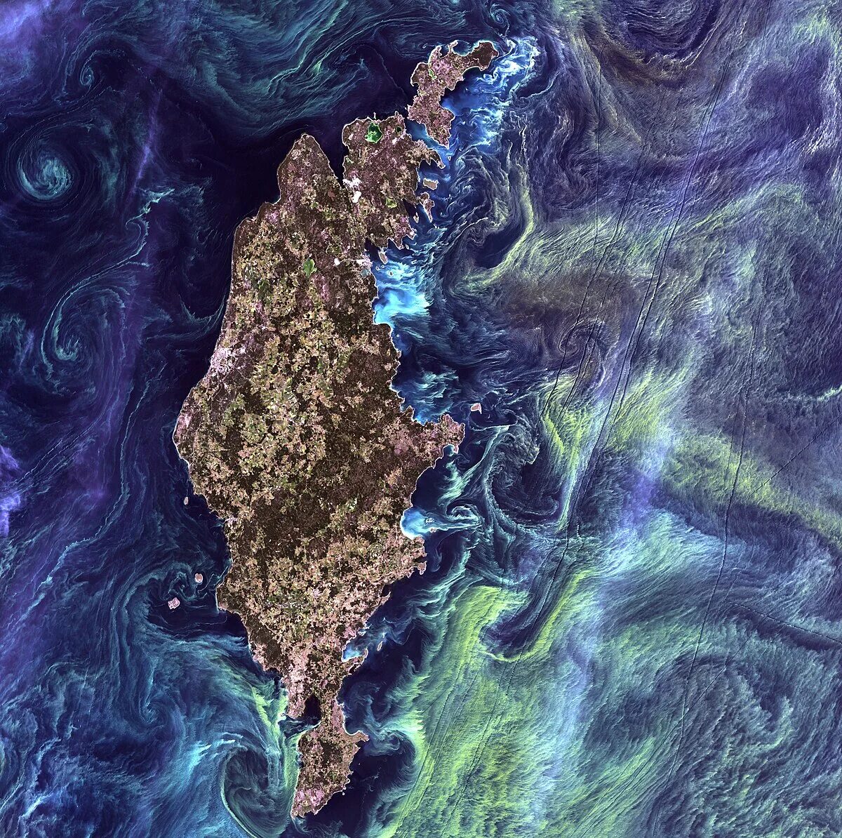 Острова со спутника фото Файл:Van Gogh from Space.jpg - Вікіпедія