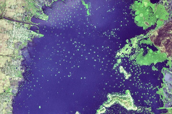 Острова со спутника фото Garden and Hog Islands, Michigan