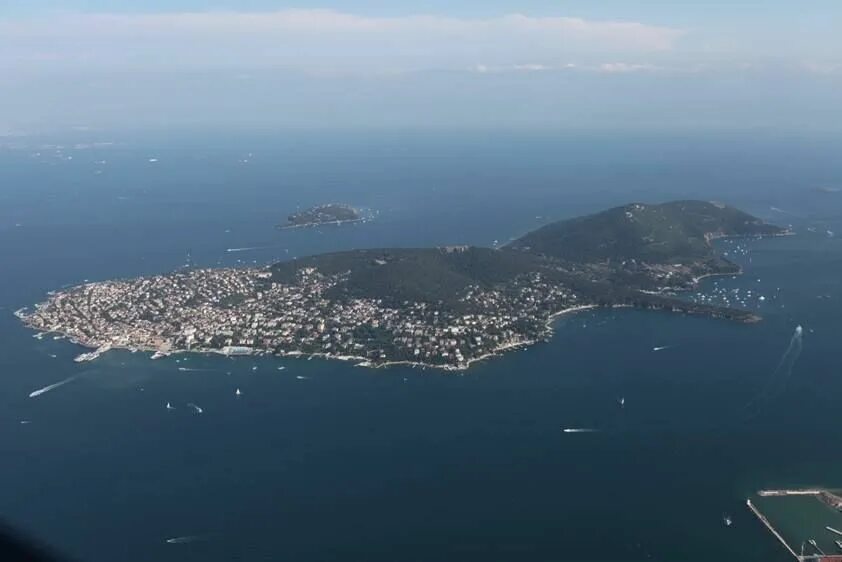 Острова в стамбуле фото Büyükada Adalar, Istanbul, Yaşlı ağaç