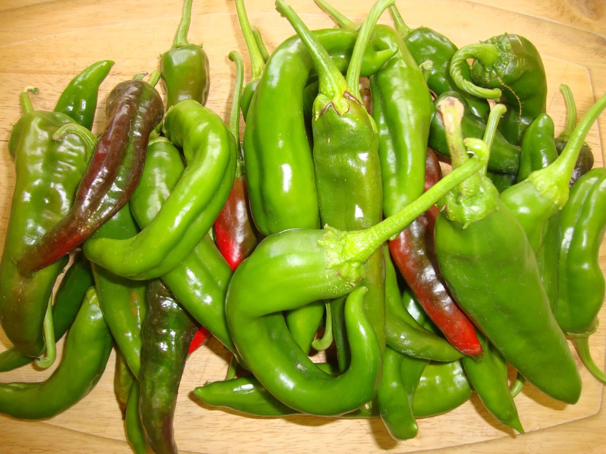 Острые перцы мира фото Chimayo Chile Seeds Growing Peppers in 2019 Stuffed peppers, Growing peppers, Ch