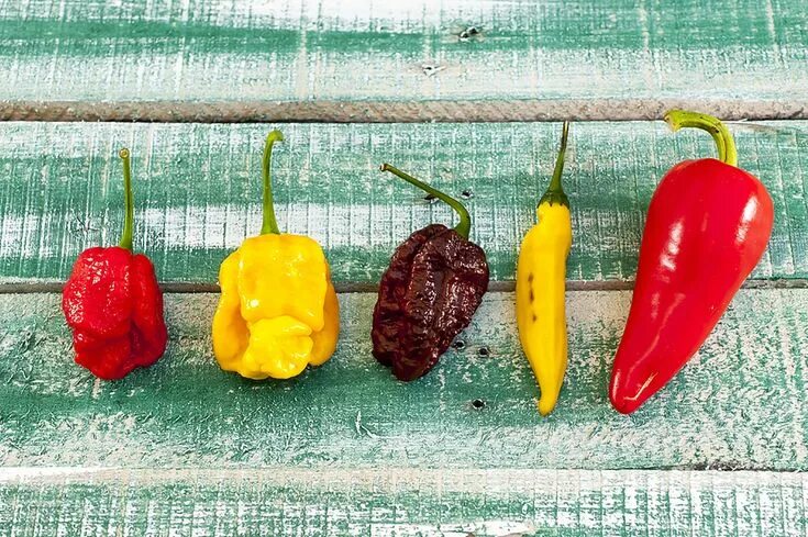 Острые перцы мира фото We Bet You Can't Handle the World's Hottest Pepper Stuffed peppers, Stuffed hot 