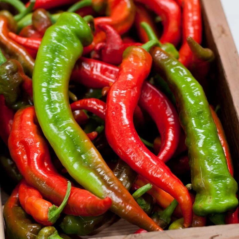 Острые перцы мира фото Купить семена Перец острый Hot pepper Sweet Thing в Москве: доставка семян по Ро