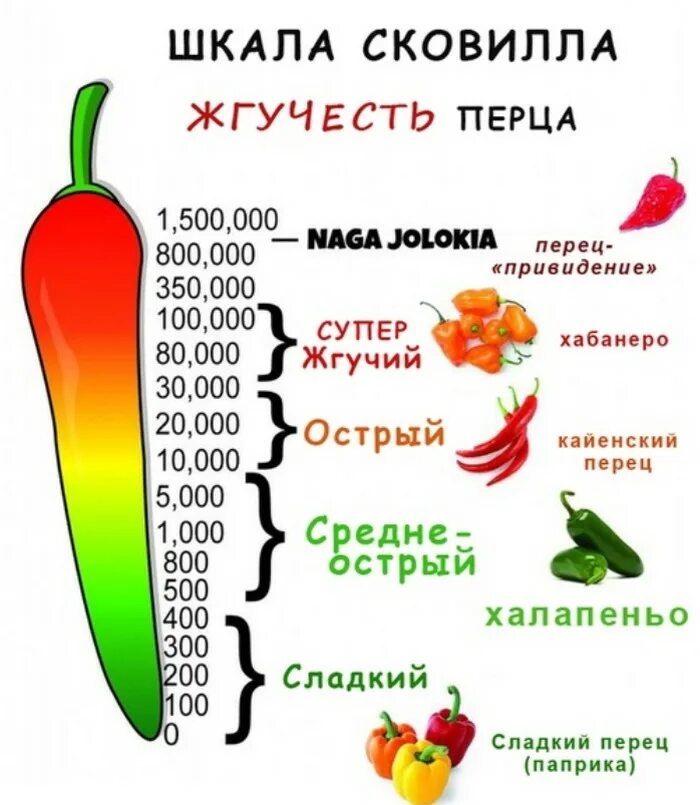 Острые перцы по шкале сковилла фото Шкала перцев - CoffeePapa.ru