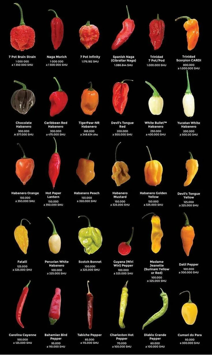Острые перцы по шкале сковилла фото The big list of hot peppers, Hot world of chili print poster Home Decor Wall Dec