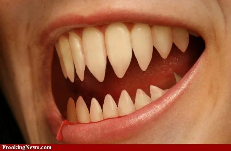 Острые зубы фото Evil Pointed Teeth pictures Beauty